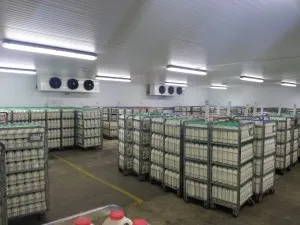 Industrial cold room page photo 2